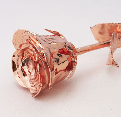 rose-gold-plated-roses