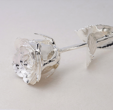 silver-plated-roses